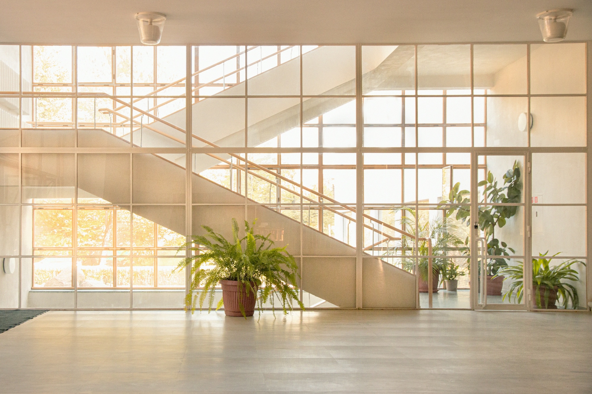 A spacious room featuring a staircase and a decorative plants.